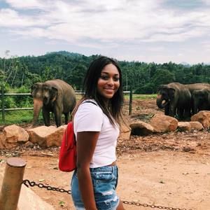 Meet your Posher, Miles